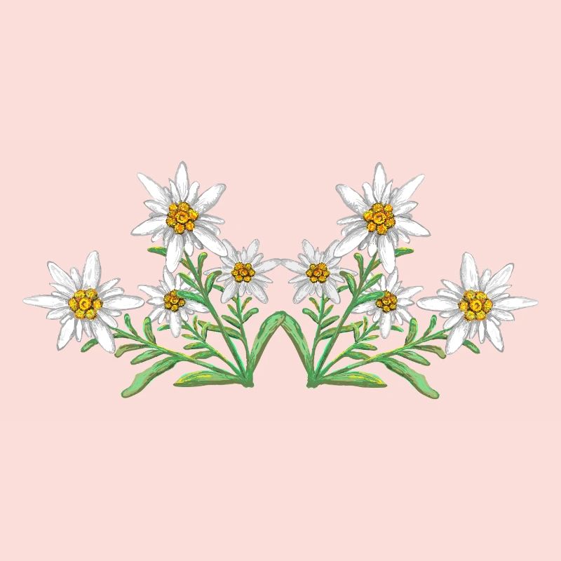 Edelweiss