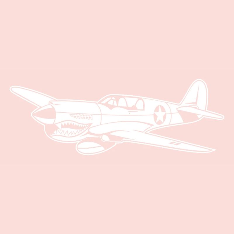 Fighter plane / warplane Warhawk 02_weiß