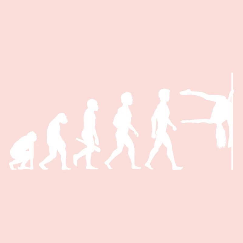 Evolution Poledance Pole Dancing Danse