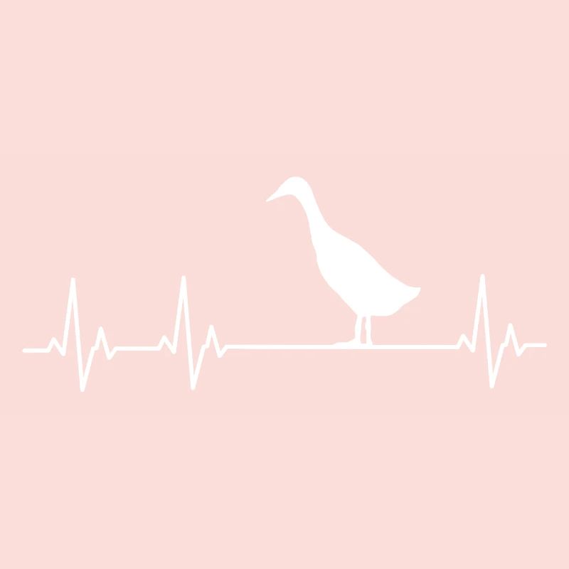 Runner Duck - Runner Duck Breeder - Indian Runner Duck