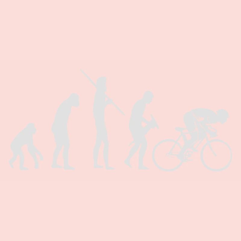 Biker Evolution