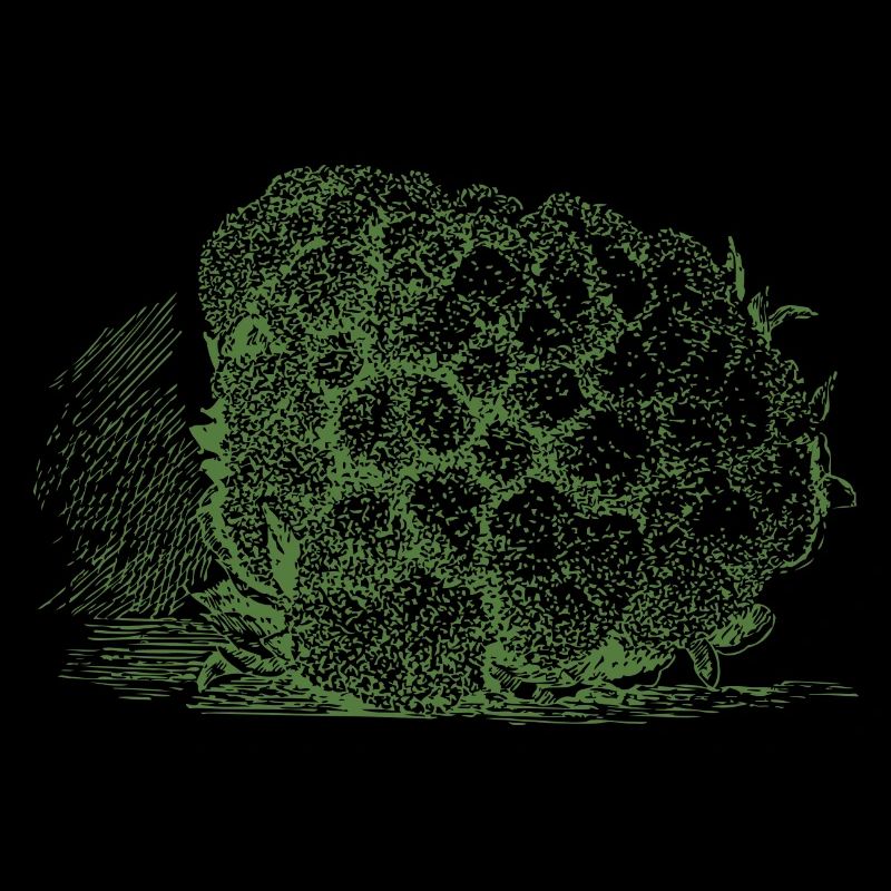 Cauliflower cauliflower halloween vegetable vegetable