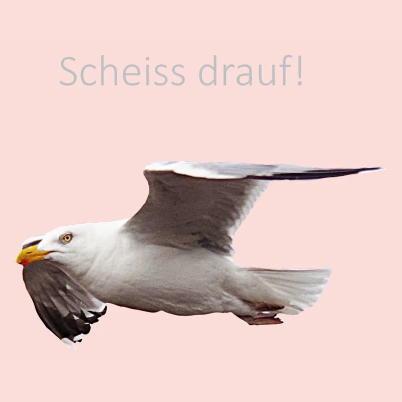 Möwe im Flug Spruch