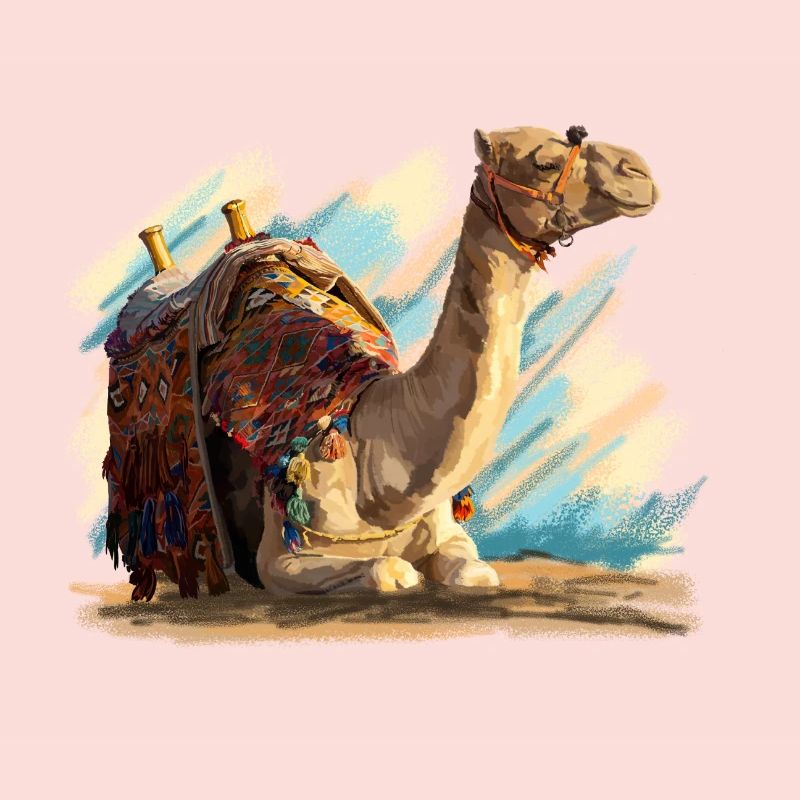 Camel