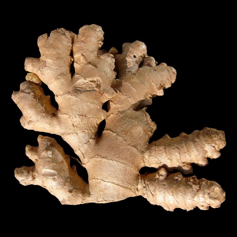 Ginger