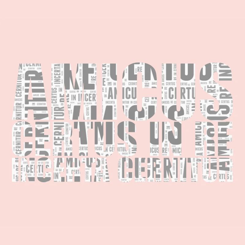 Amicus certus dans re incerta cernitur