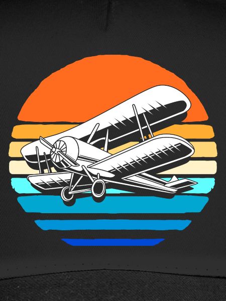 Modellflugzeug Modellflug