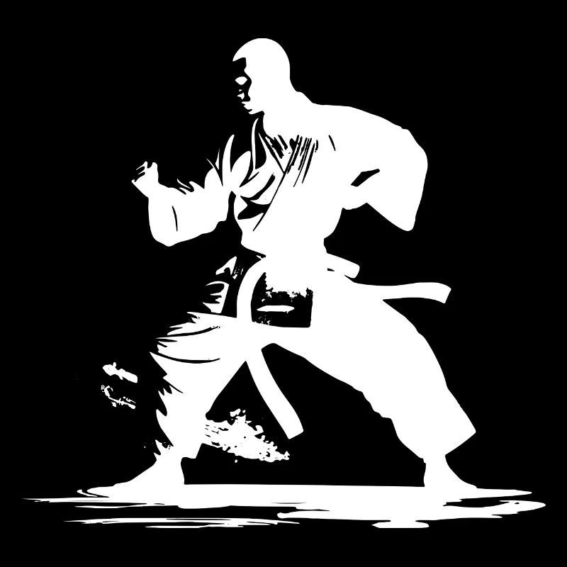 Graphique Karaté Boy