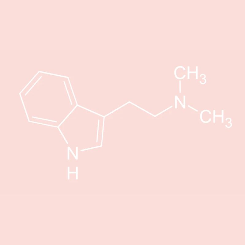 DMT dimethyltryptamine formule structurelle