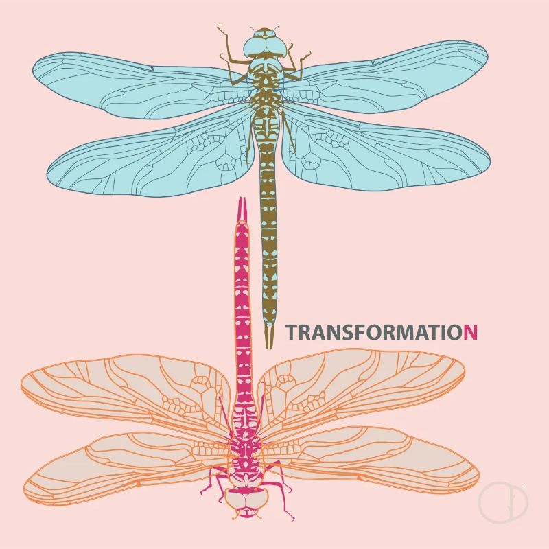 Libellen und Transformation by CD