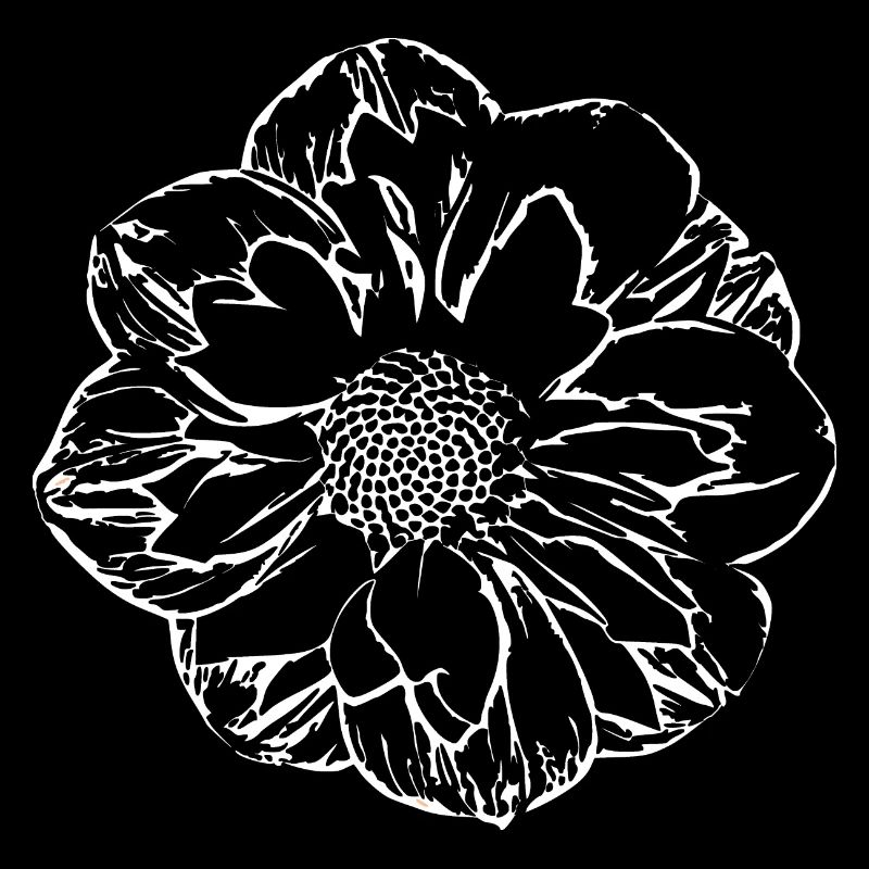 Fleur, Noir, Fleurs, Noir, Fleur