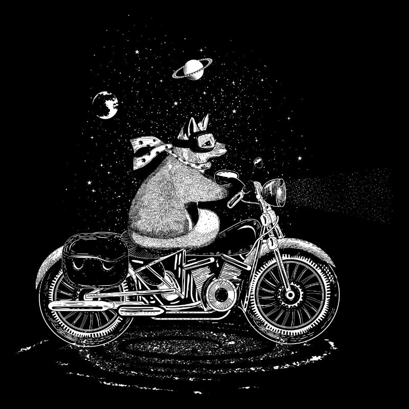 A fox rides a motorcycle