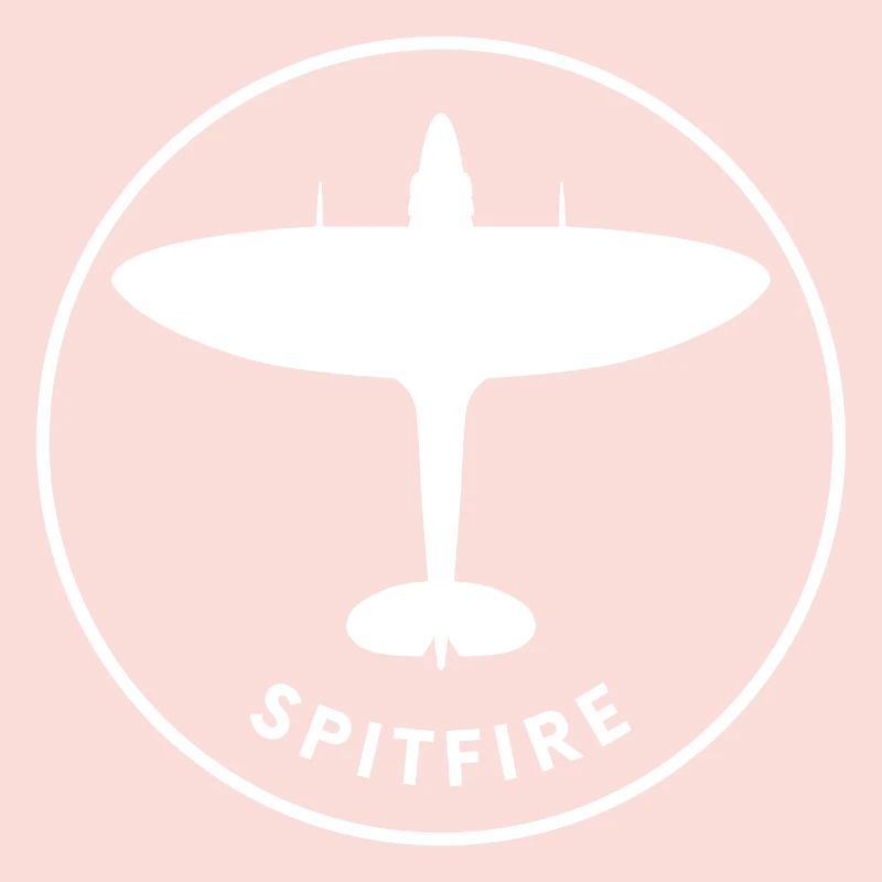 Spitfire fighter plane