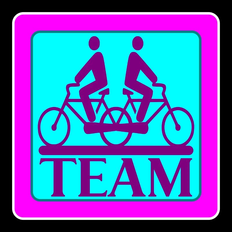 TEAM PROBLEMS - BIKE