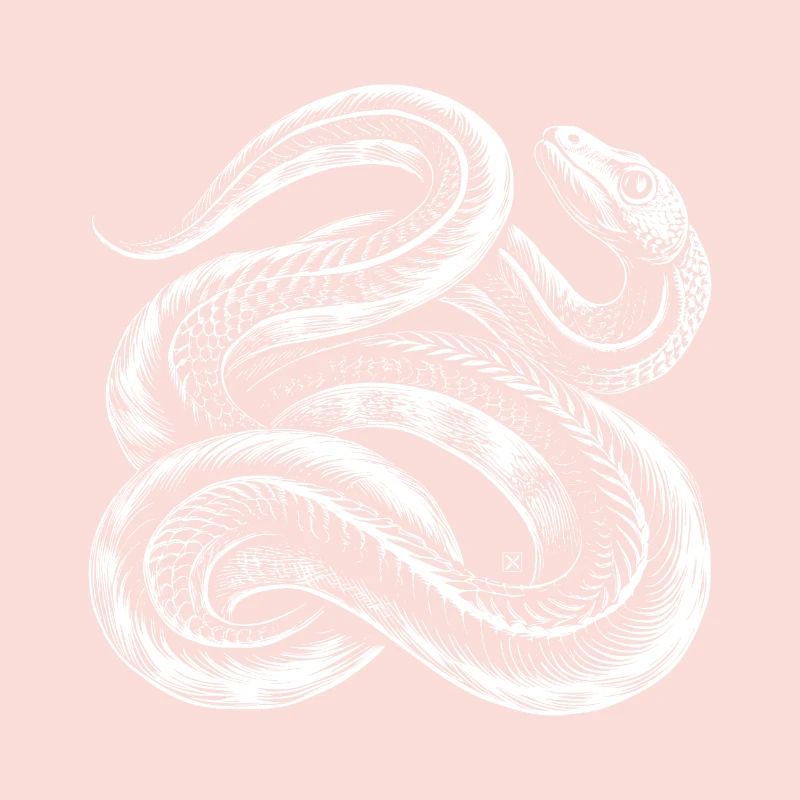 Serpent blanc entrelacé