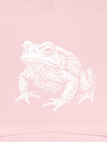 Toad