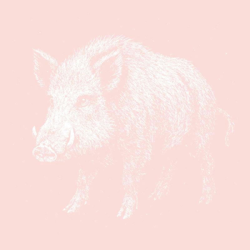 Sanglier