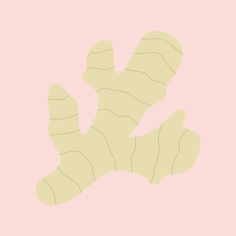 gingembre