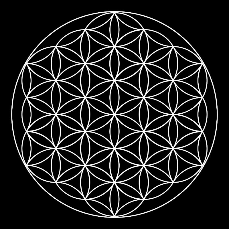 Heilige Geometrie der Blume des Lebens