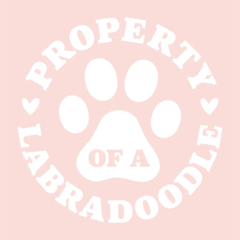 Eigentum eines Labradoodles