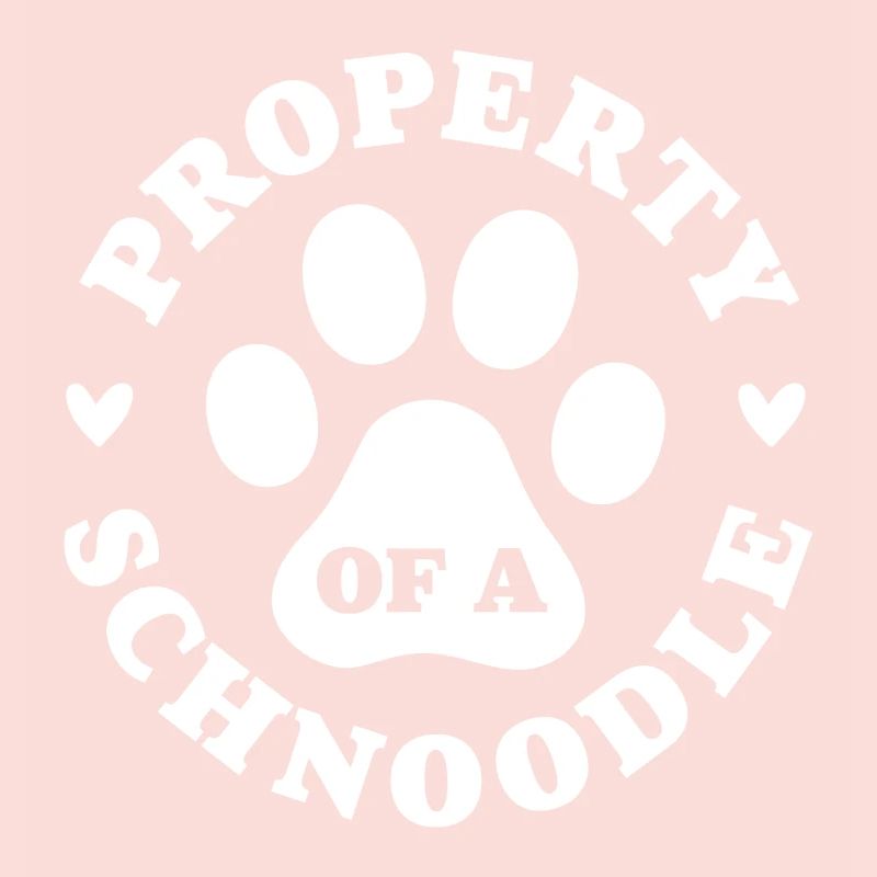 Propriété d’un Schnoodle