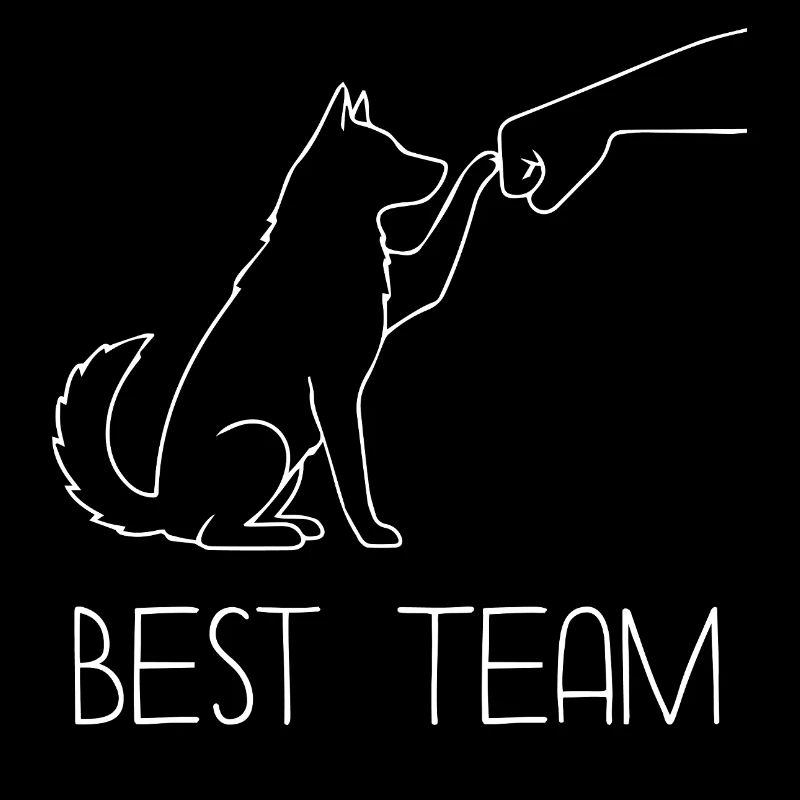 Husky Faust Team