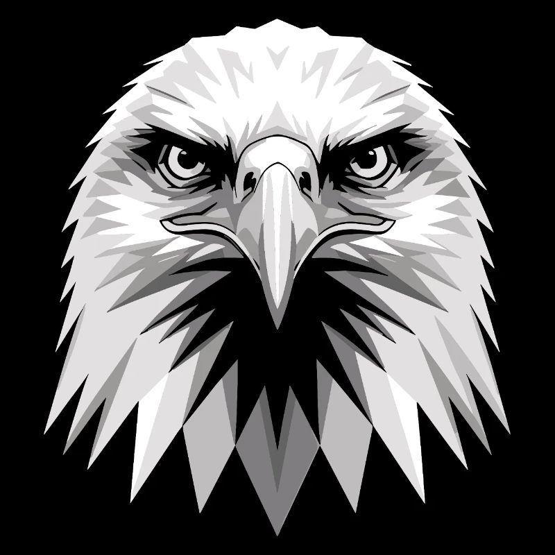 Eagle Bald Eagle Golden Eagle White-tailed Eagle