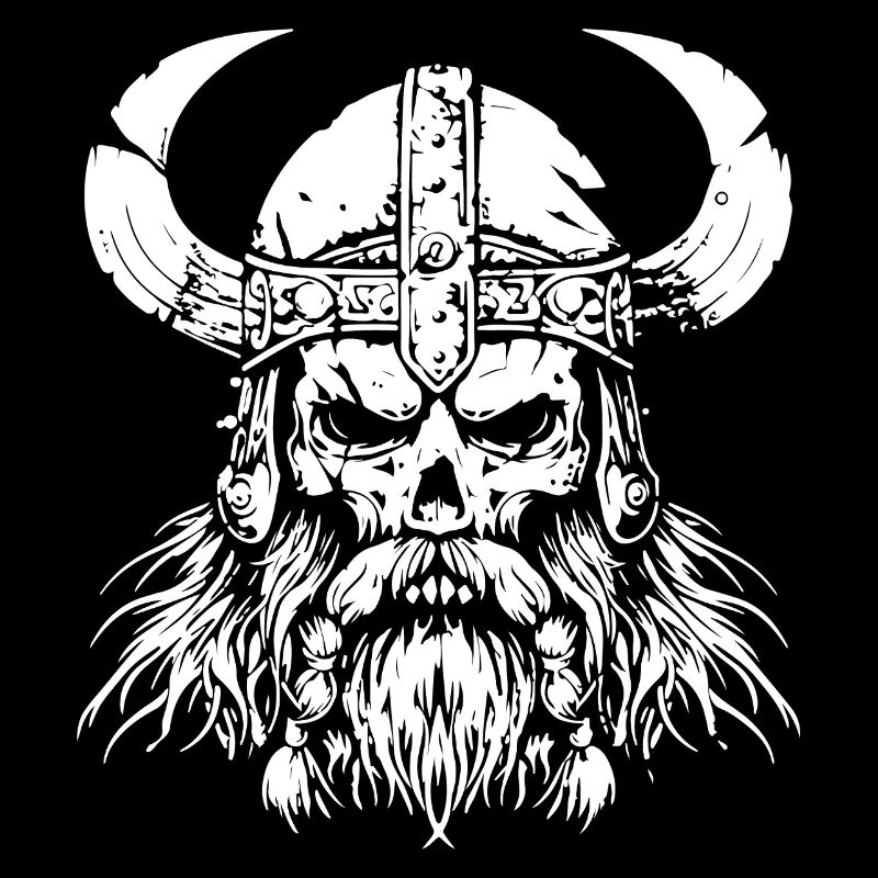 wikinger skull