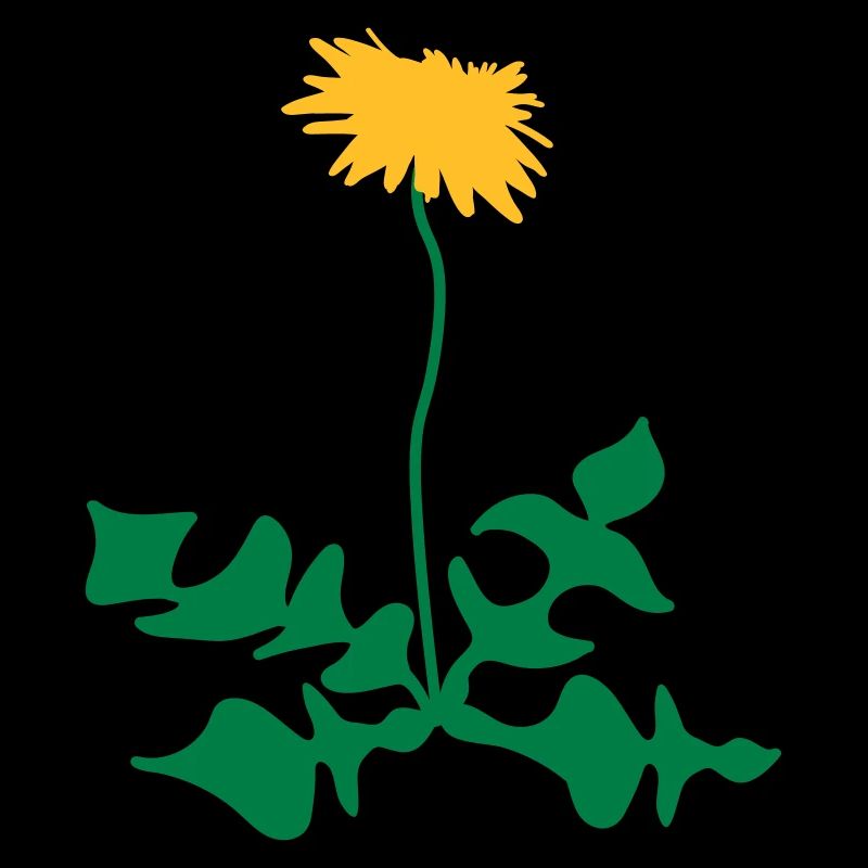 dandelion