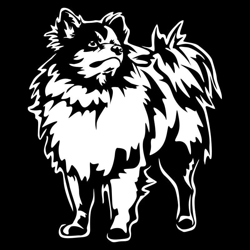 Spitz "Black Edition"