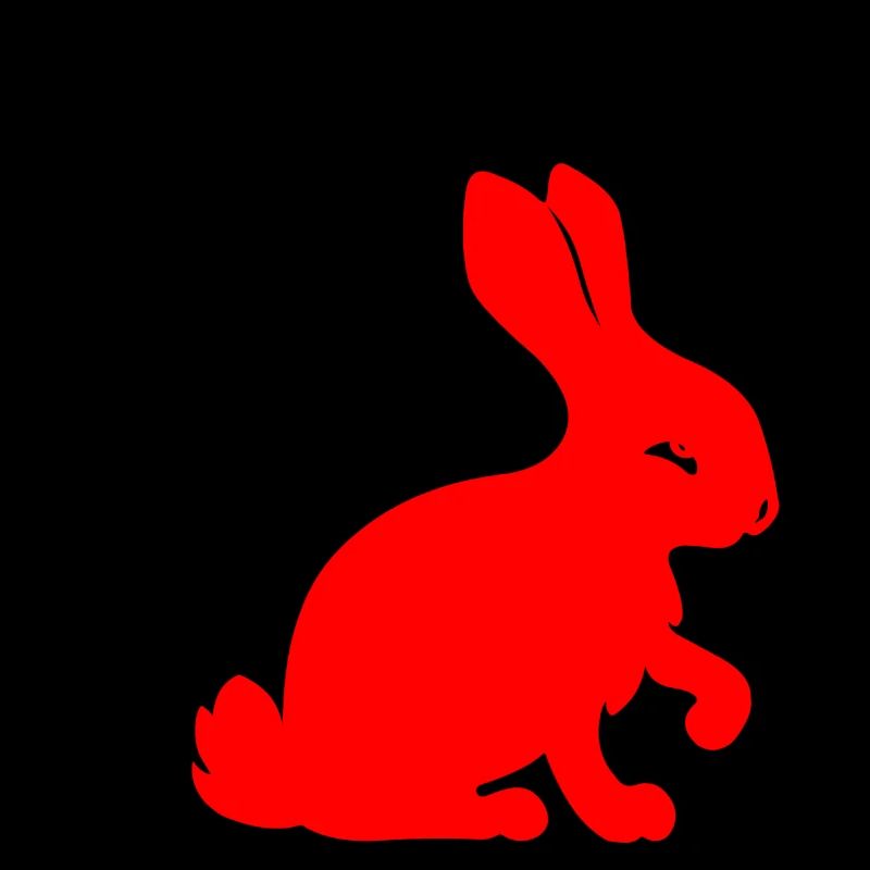 Chinese character rabbit with red rabbit