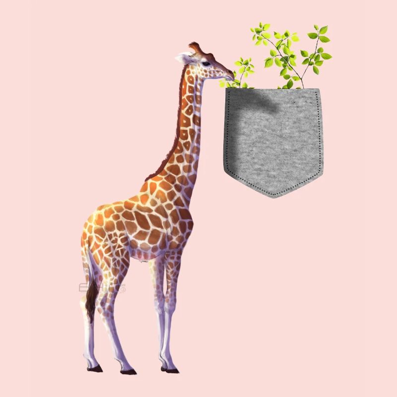 Girafe atteignant une branche avec des feuilles dans la poche