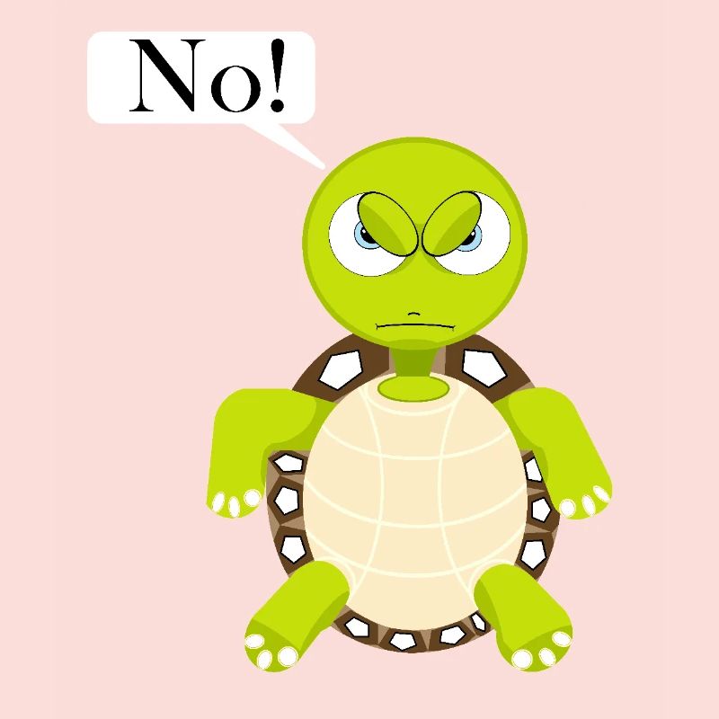 Statement No Turtle, No Fun Comic, No
