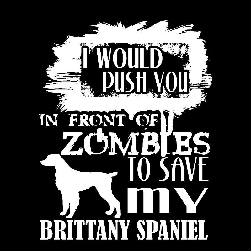 Save My Brittany Spaniel