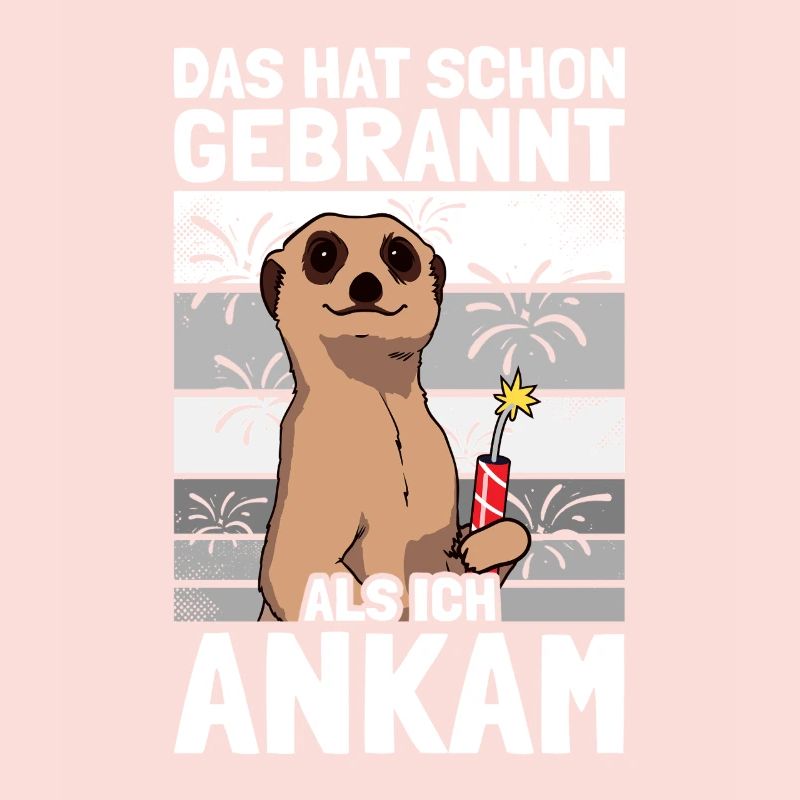 Has already burned, pyrotechnicians, fireworks, fireworks