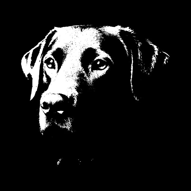 Stylish Labrador design