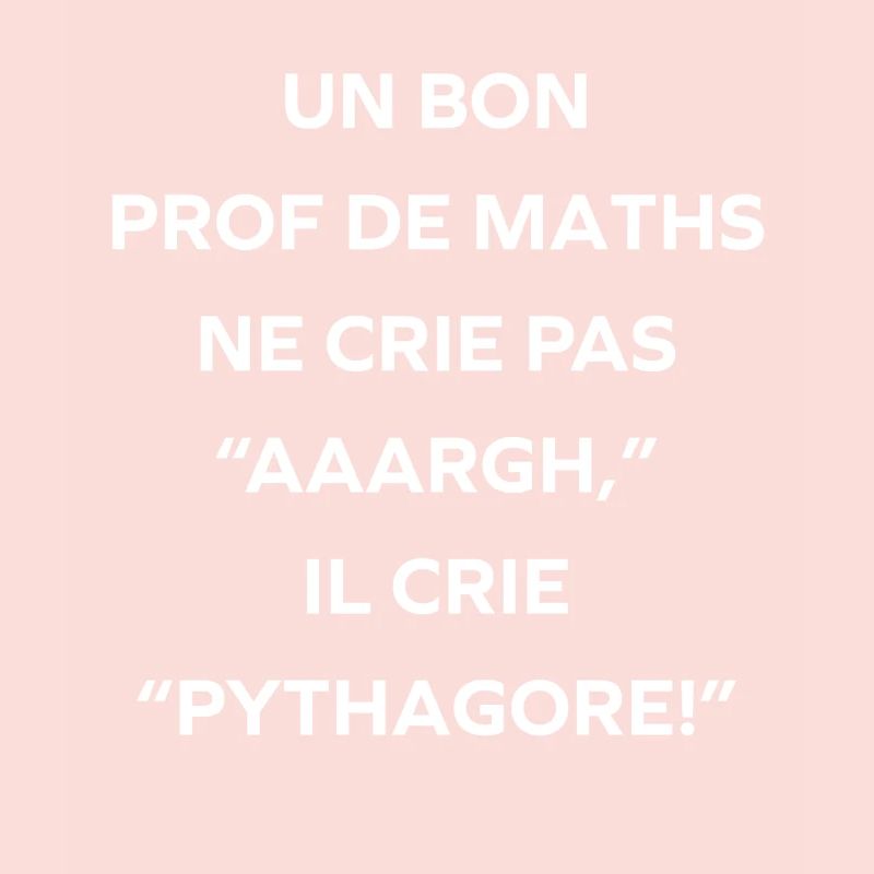 Prof de maths crie Pythagore