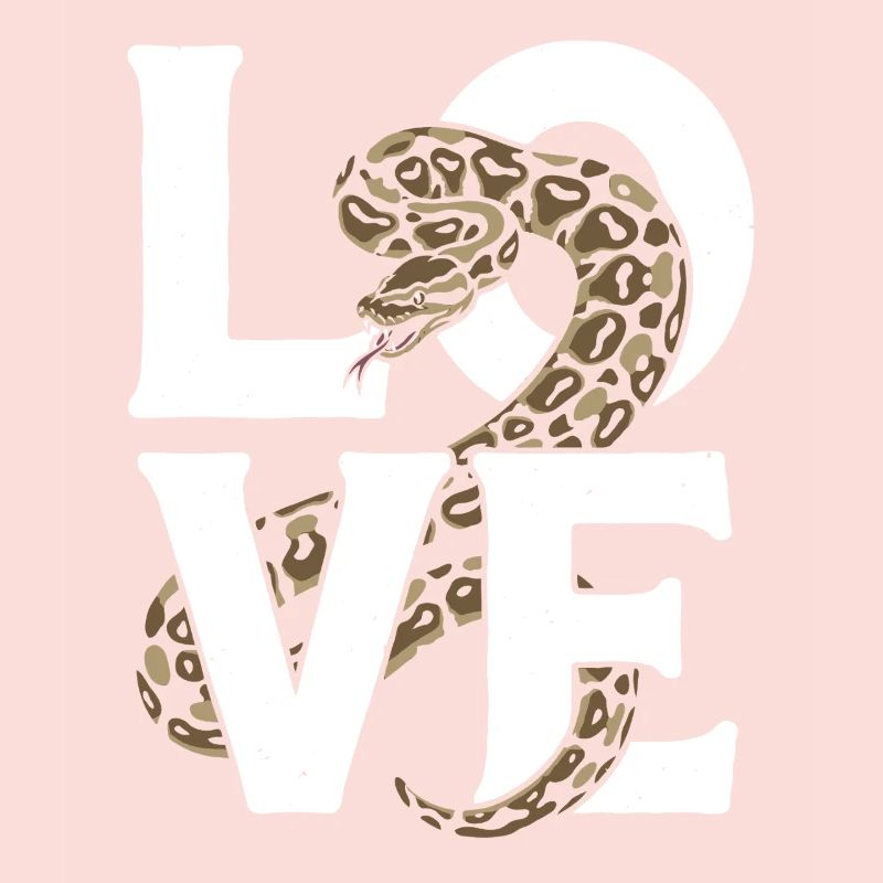 Königspython Schlangen LOVE Terrarium Python