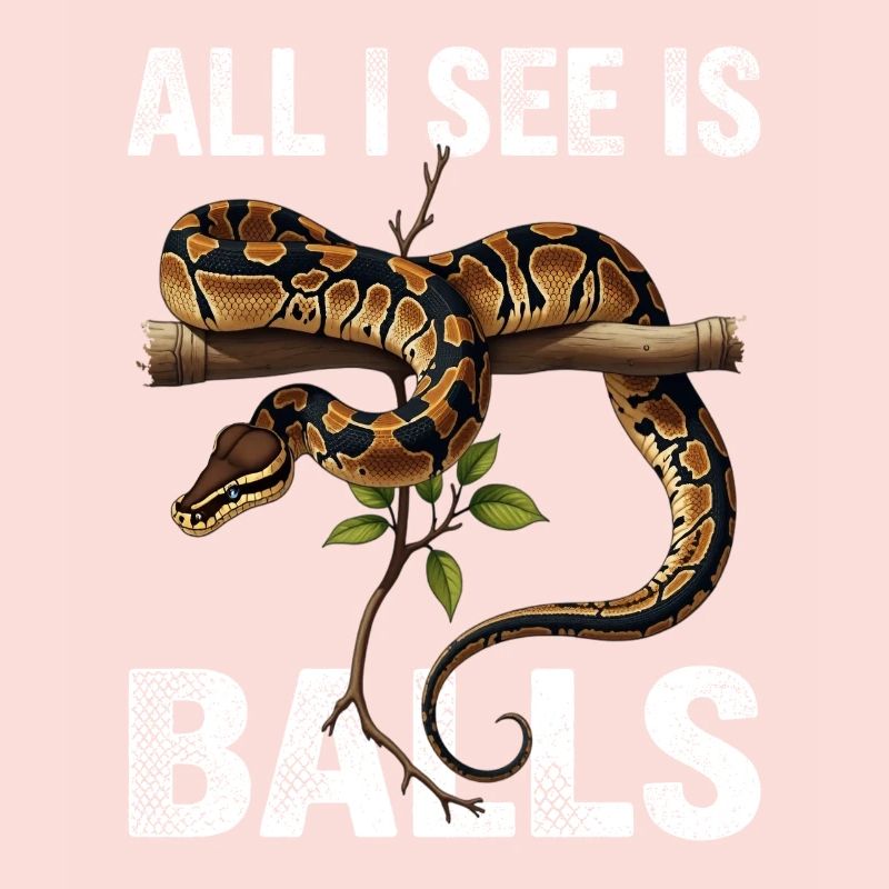 Königspython Schlangen Liebhaber Terrarium Python