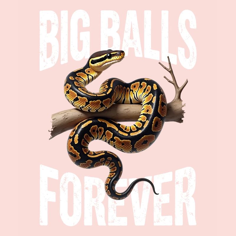 Python roi Serpents Amateurs de terrarium Python