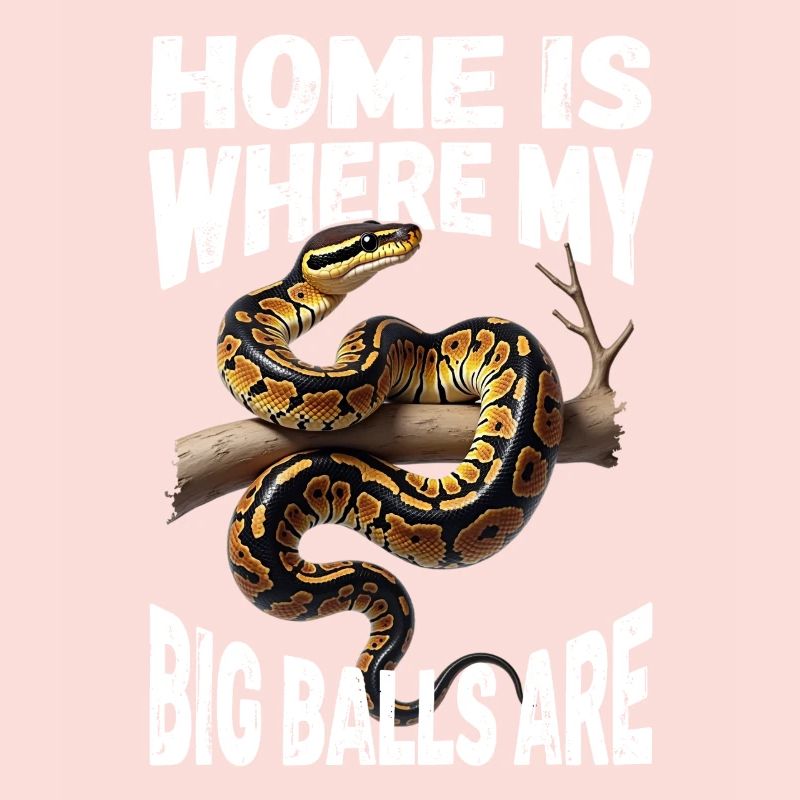 Python roi Serpents Amateurs de terrarium Python