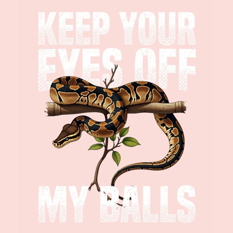 Python roi Serpents Amateurs de terrarium Python
