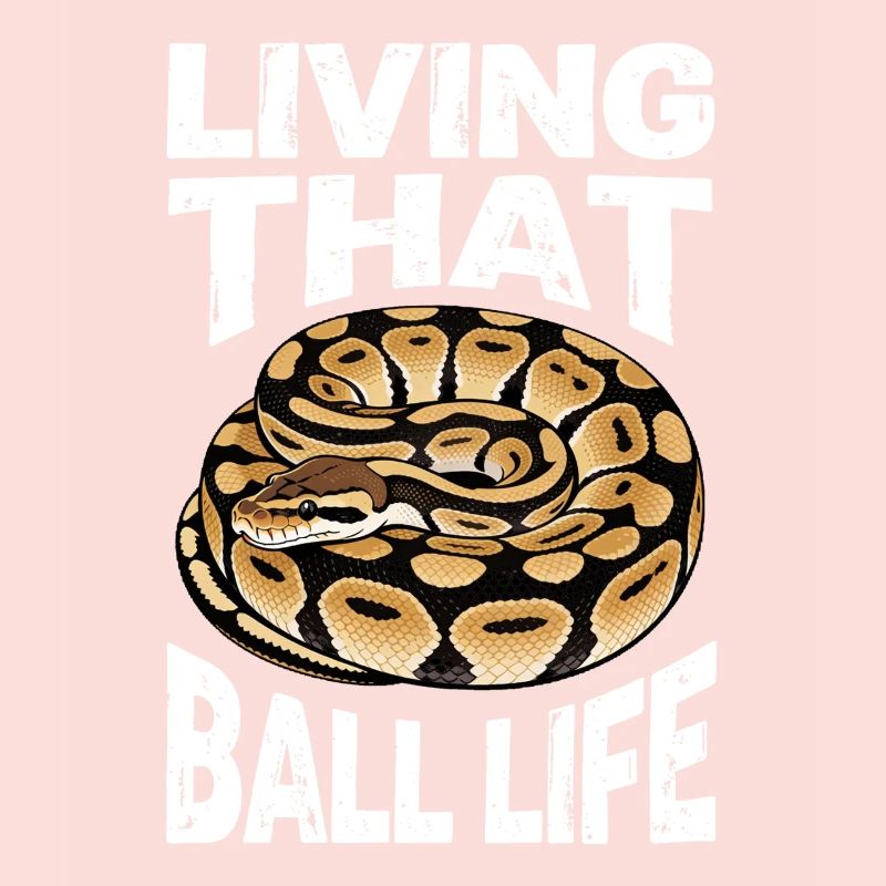 Python roi Serpents Amateurs de terrarium Python