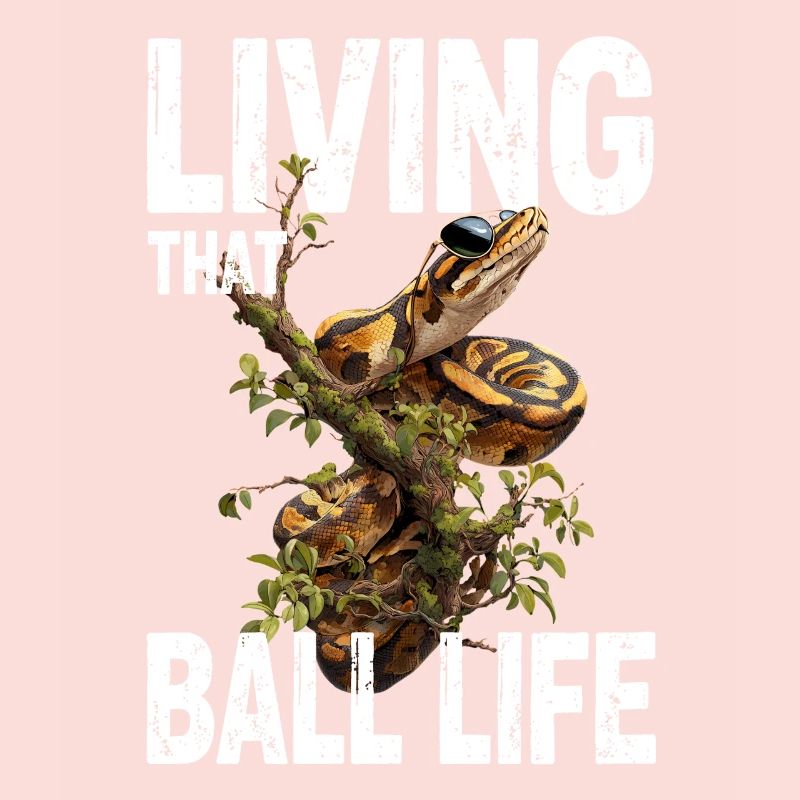 Python roi Serpents Amateurs de terrarium Python