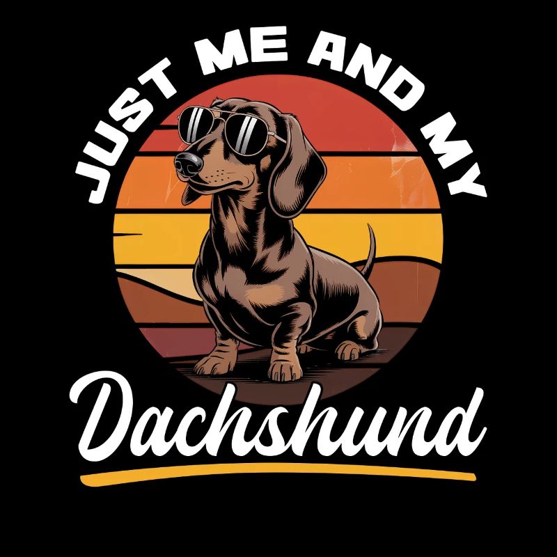 Teckel de race de chien drôle