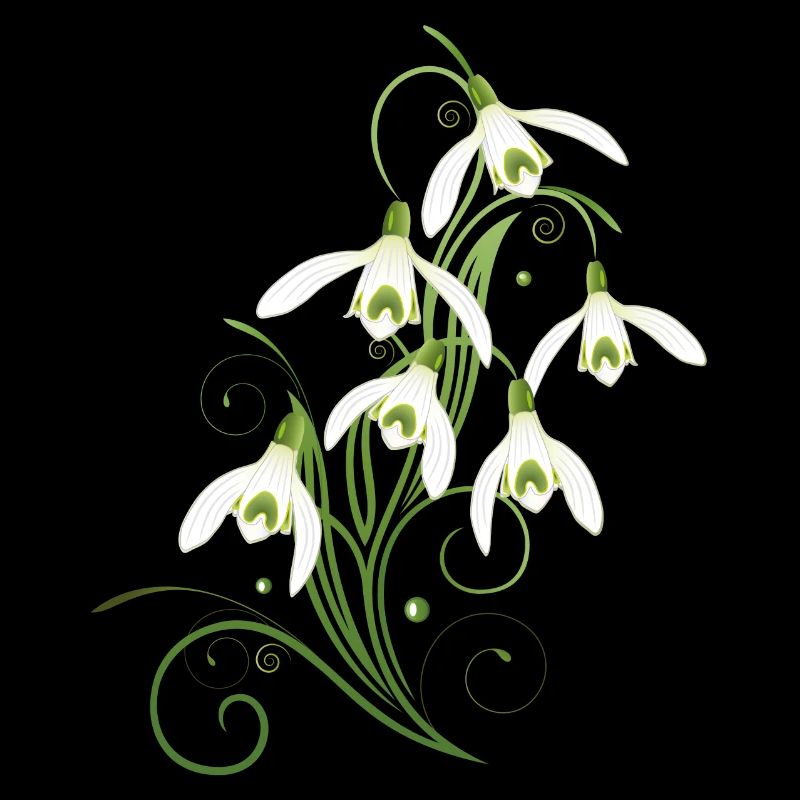 Fleurs de perce-neige. Le printemps arrive.