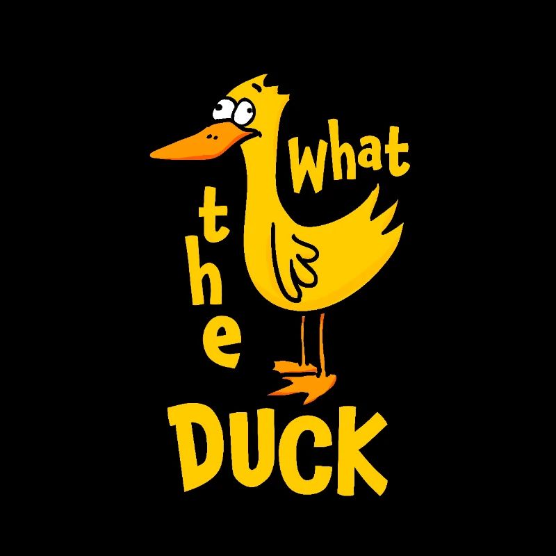 Qu’est-ce que le canard