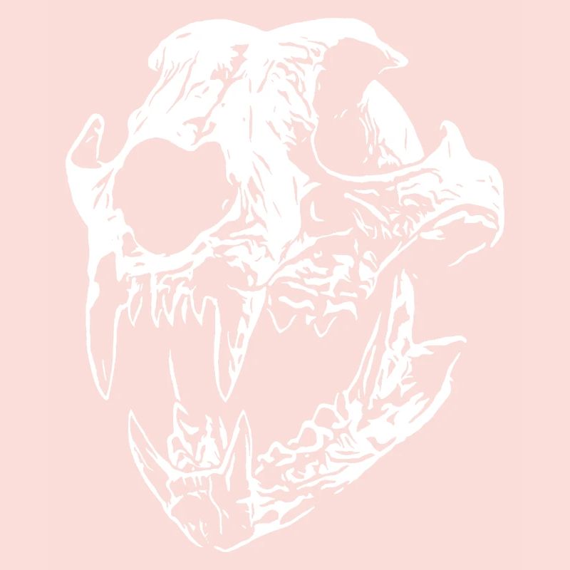 Crâne de Smilodon avec des dents acérées