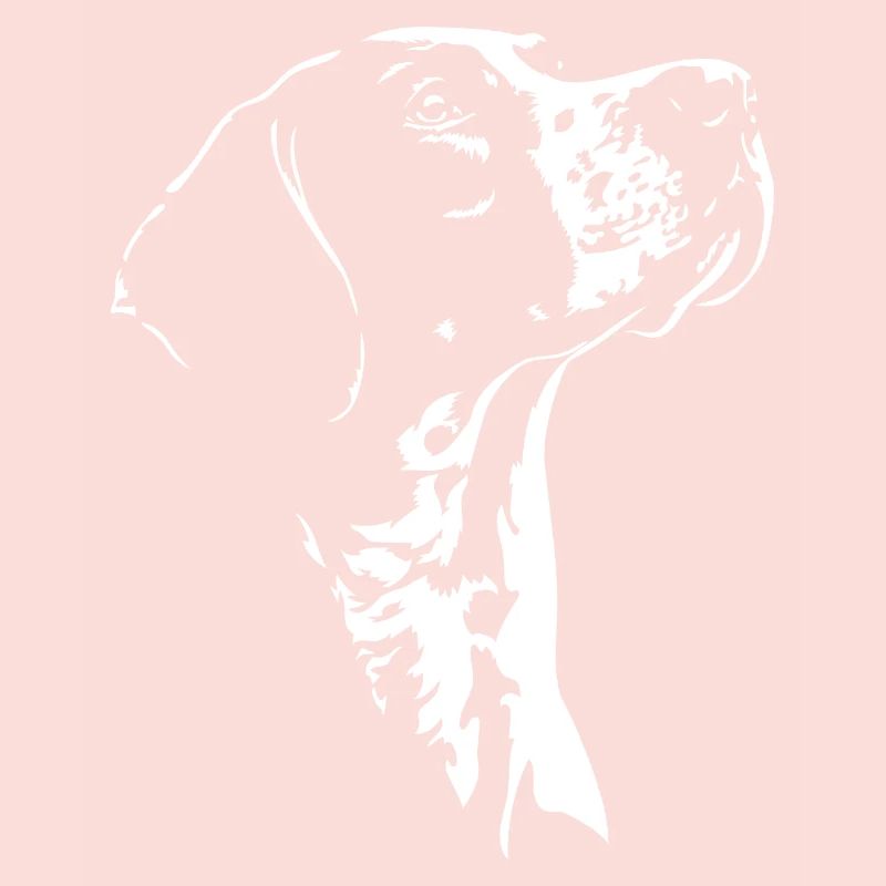 Chiens de chasse à silhouette pointer anglais Wilsigns