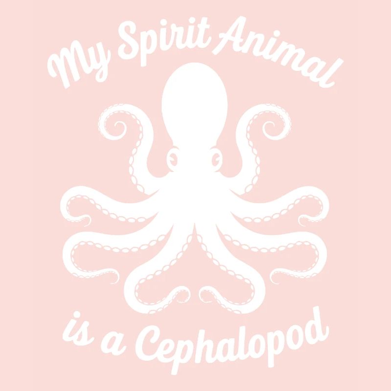 Conception des céphalopodes